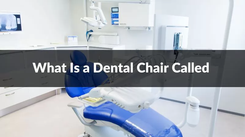 What Is a Dental Chair Called